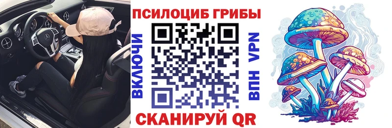 мега дарнет шоп Нерчинск Галлюциногенные грибы Psilocybine cubensis